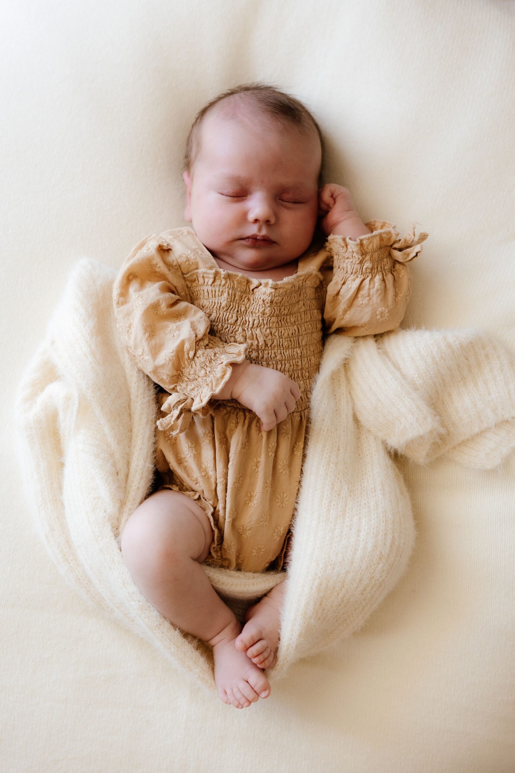 Frankie-126-0bce6a48-2500