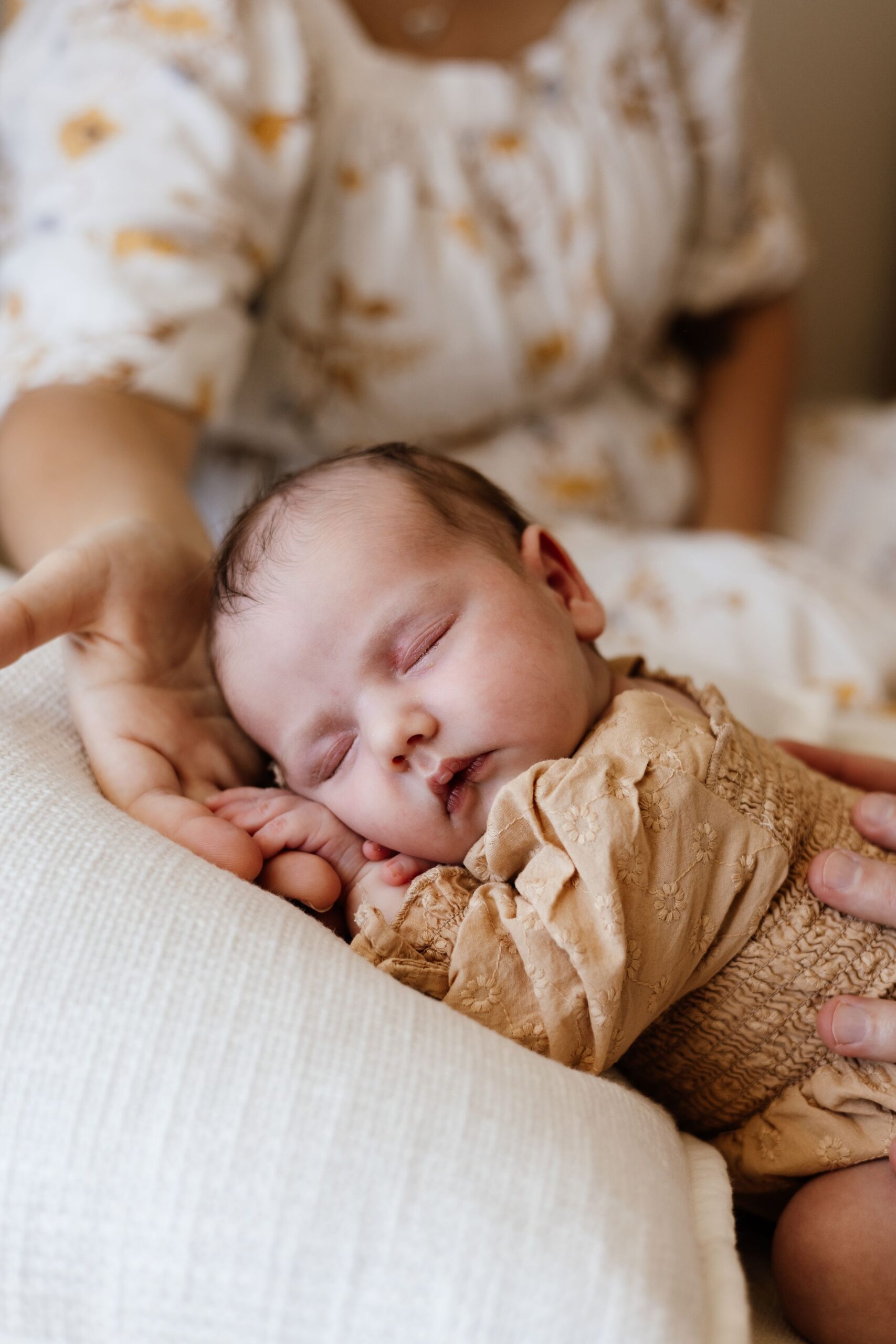 Frankie-18-7a22605e-2500